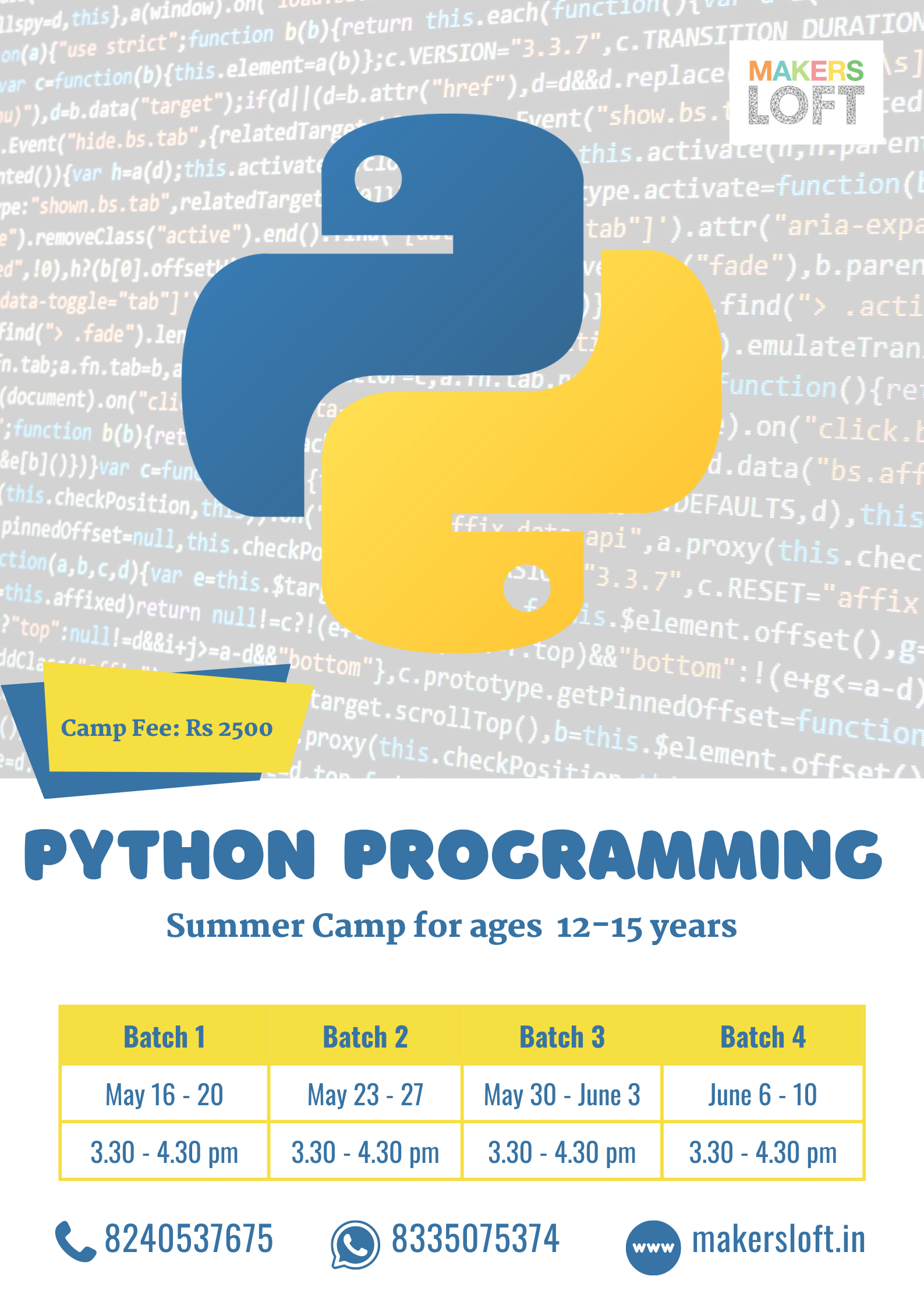 Python Programming Course for school students